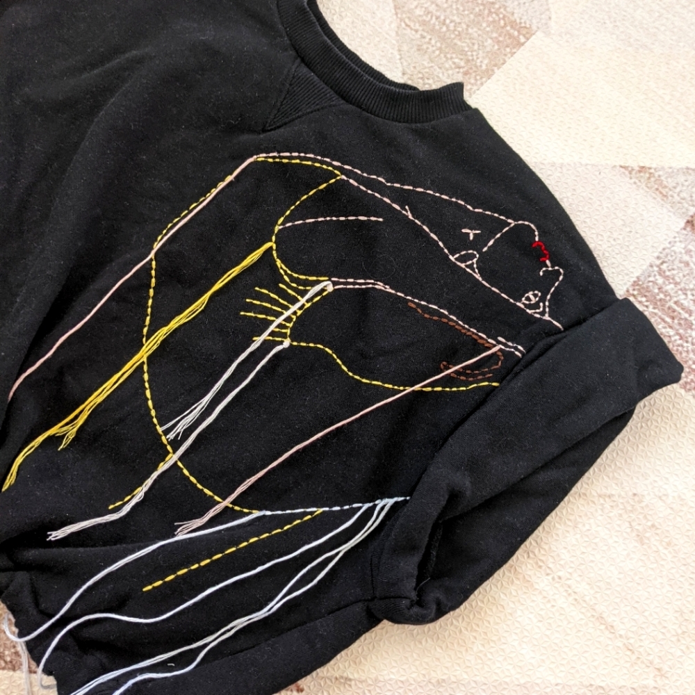 ***RARE***ZARA COLLAB WITH PARIS BALLET***